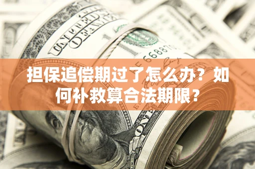 北京担保追偿期过了怎么办？如何补救算合法期限？